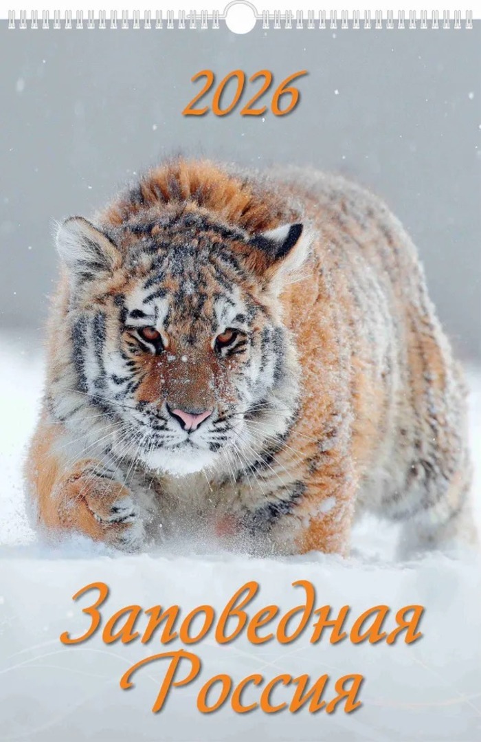 

Календарь 2026 1-блочный 320х480мм Гребень+ригель 6л Заповедная Россия УФ-лак АТБЕРГ 0526054